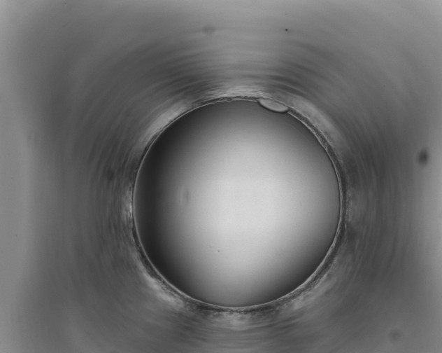 X0000094351241200711091445