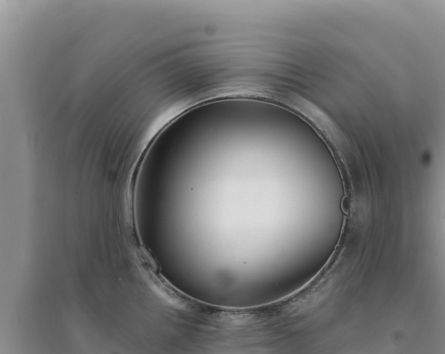 X0000094351242200711091445