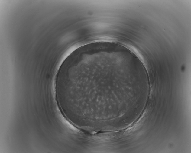 X0000094351243200711091445