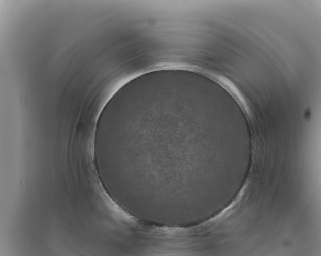 X0000094351244200711091445