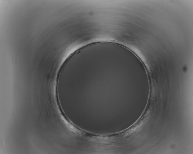 X0000094351245200711091445