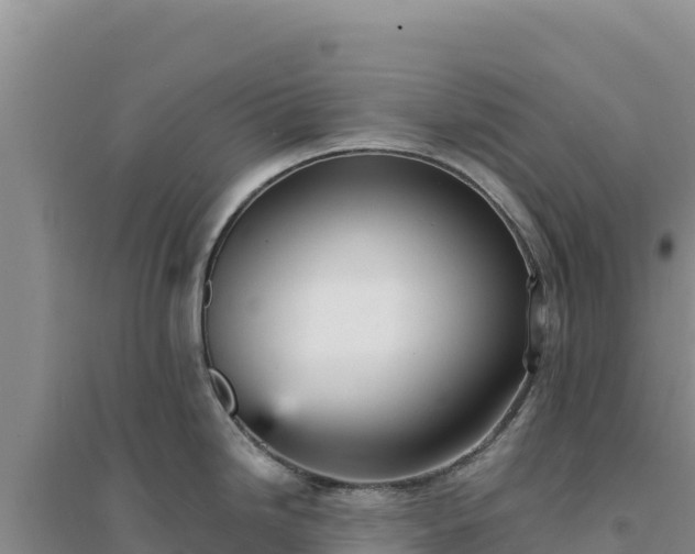 X0000094351246200711091445