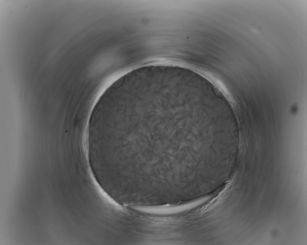 X0000094351247200711091445