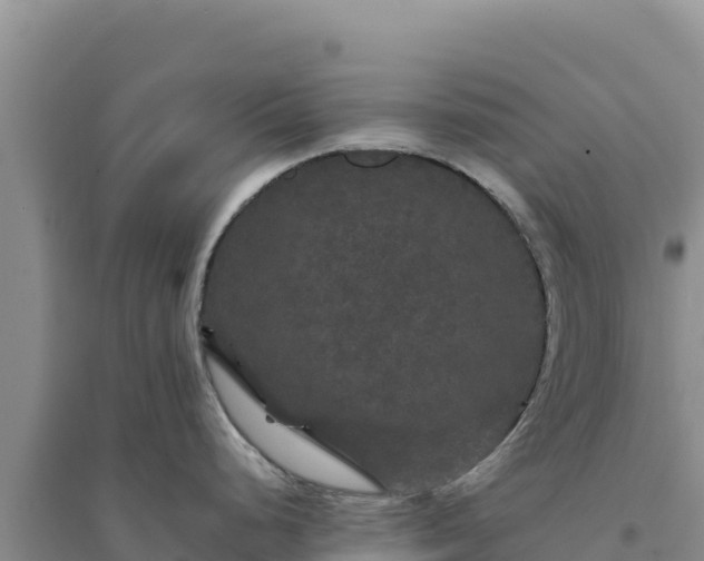 X0000094351248200711091445