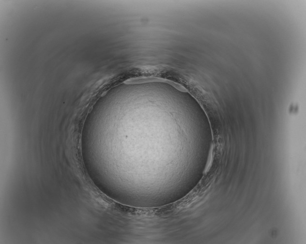 X0000094351249200711091444