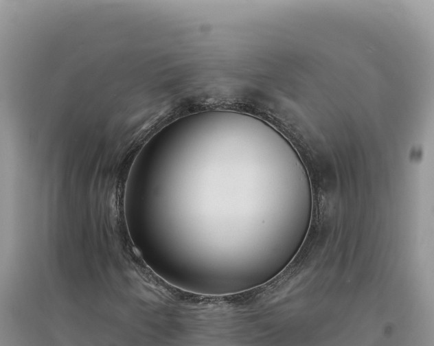 X0000094351250200711091444