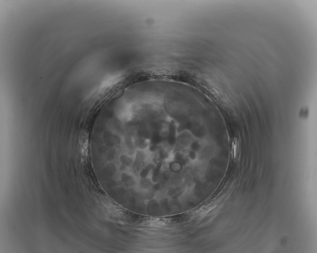 X0000094351251200711091444