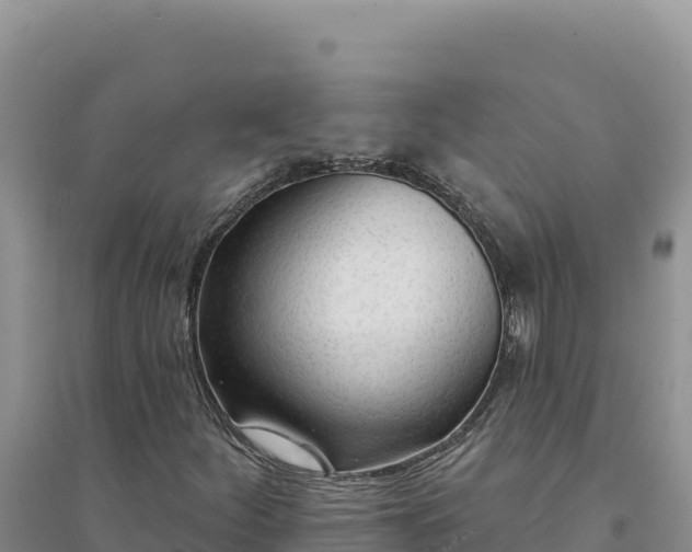 X0000094351252200711091444