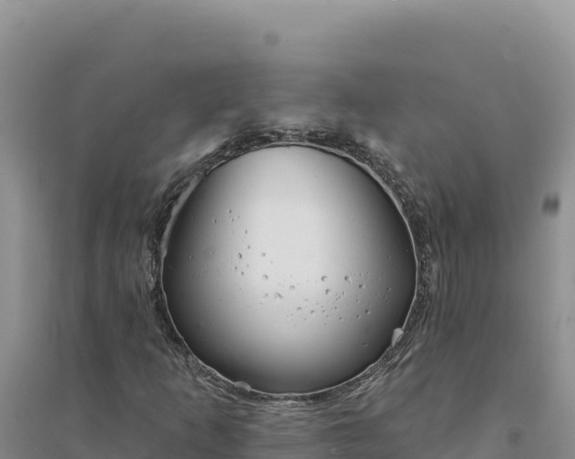 X0000094351253200711091444