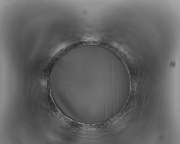 X0000094351254200711091444