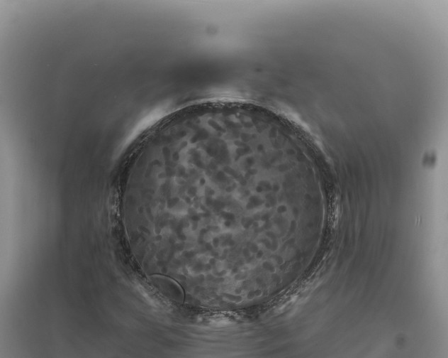 X0000094351255200711091444