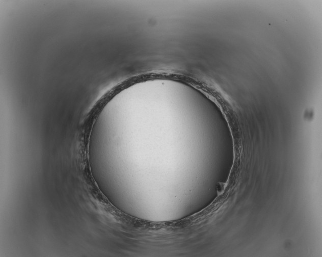 X0000094351256200711091444