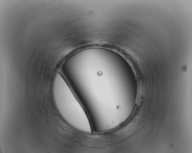 X0000094351257200711091444