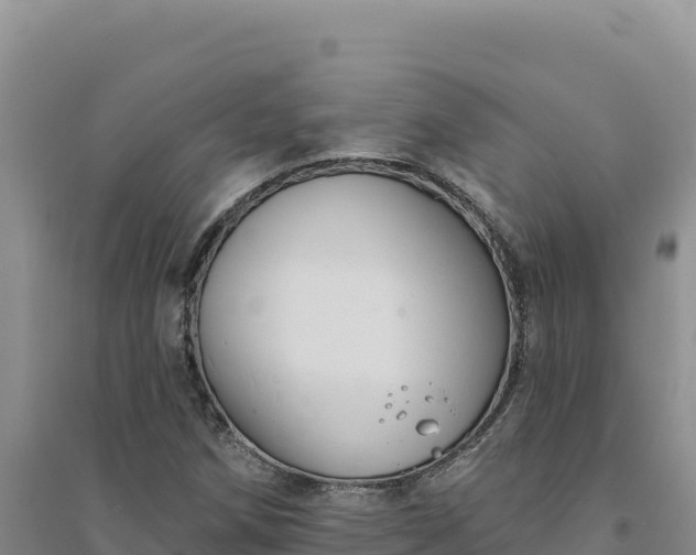 X0000094351258200711091444