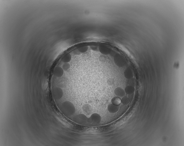 X0000094351259200711091444