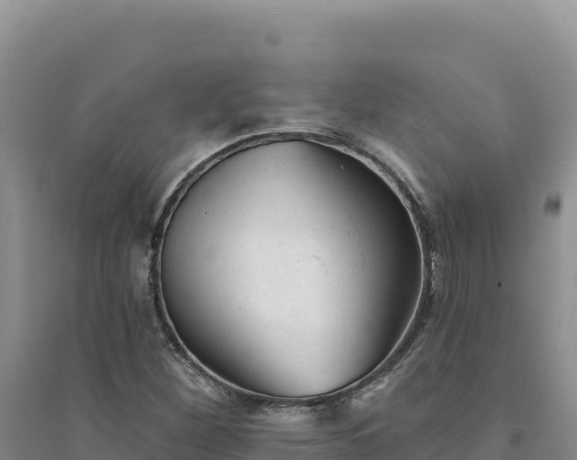 X0000094351260200711091444