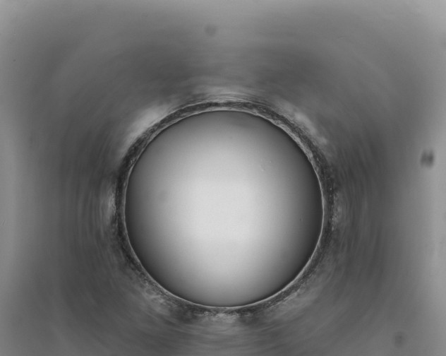 X0000094351261200711091444