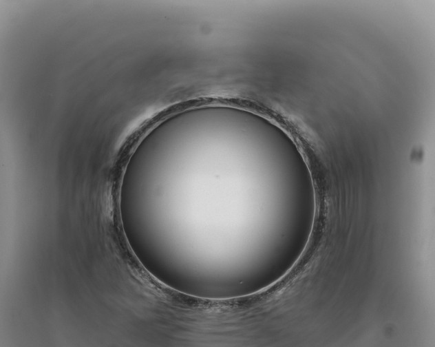 X0000094351262200711091444