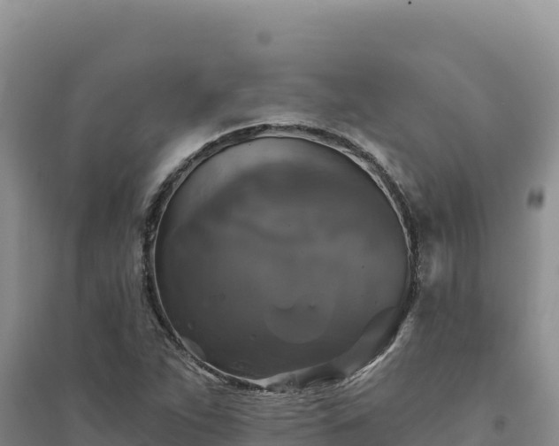 X0000094351263200711091444