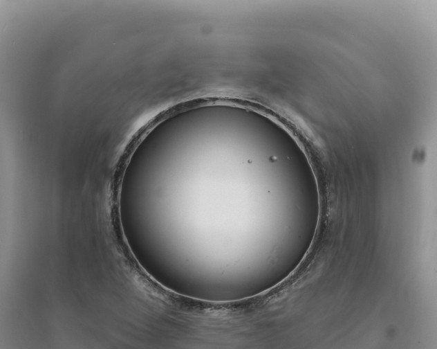 X0000094351264200711091444