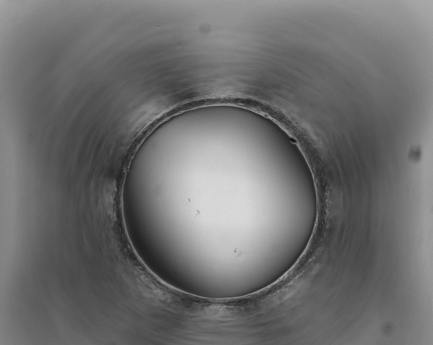 X0000094351265200711091444