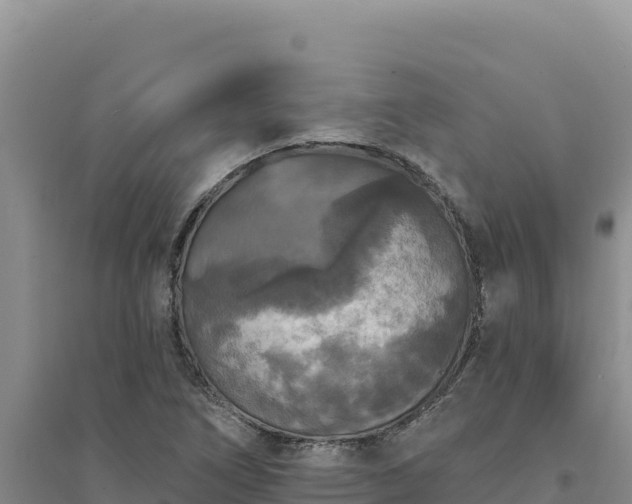 X0000094351266200711091444