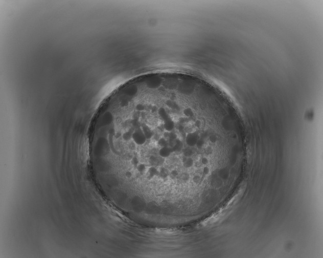 X0000094351267200711091444