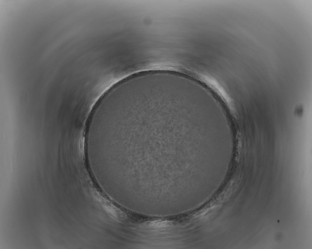 X0000094351268200711091444