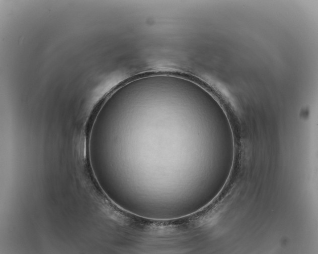 X0000094351269200711091444