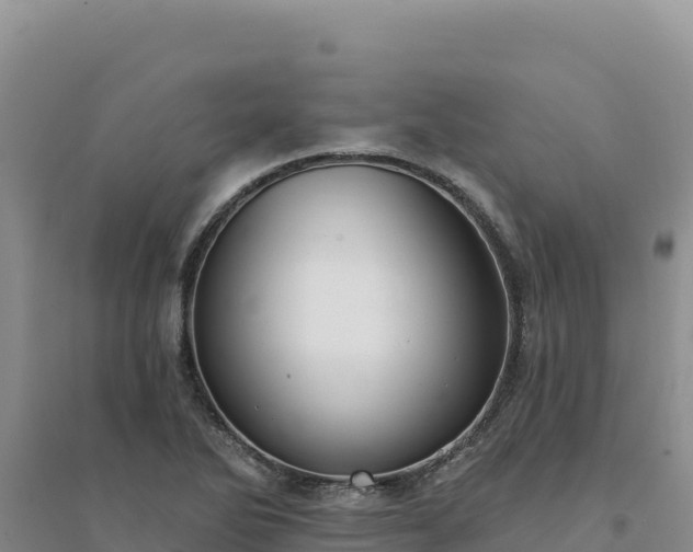 X0000094351270200711091444