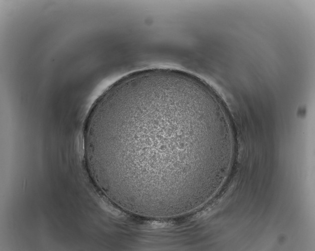 X0000094351271200711091444