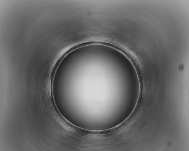 X0000094351272200711091444