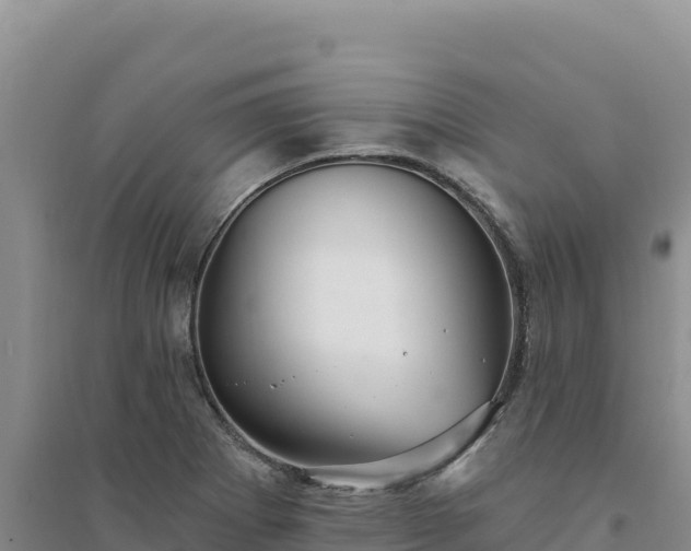 X0000094351273200711091444