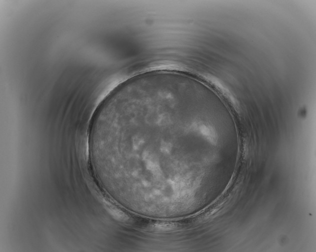 X0000094351274200711091444