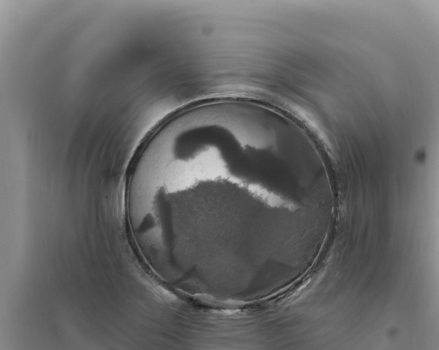 X0000094351275200711091444