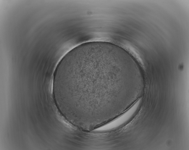 X0000094351276200711091444