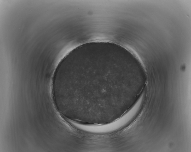 X0000094351277200711091444