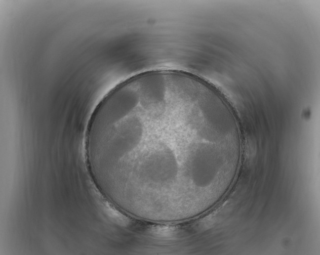 X0000094351278200711091444