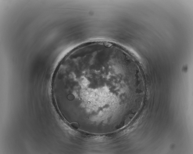 X0000094351279200711091444