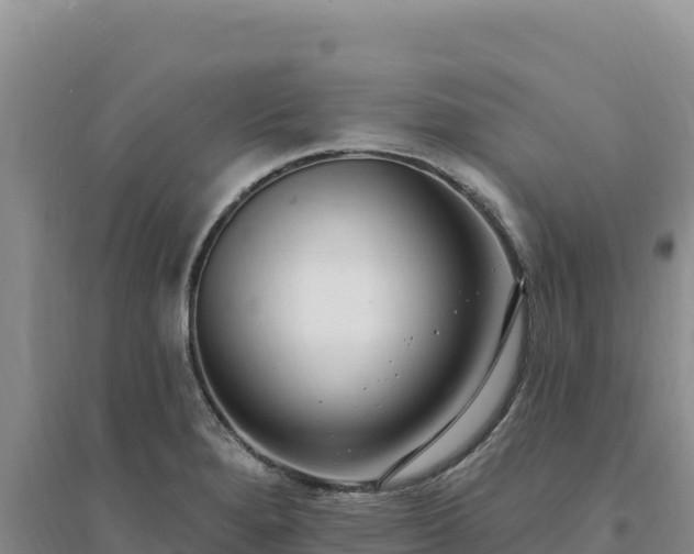 X0000094351280200711091444