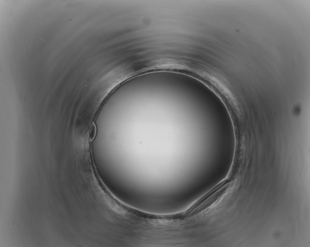 X0000094351281200711091444