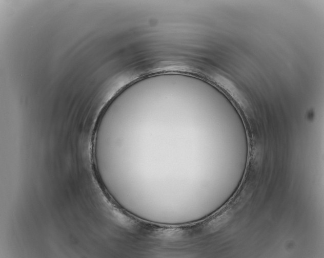 X0000094351282200711091444