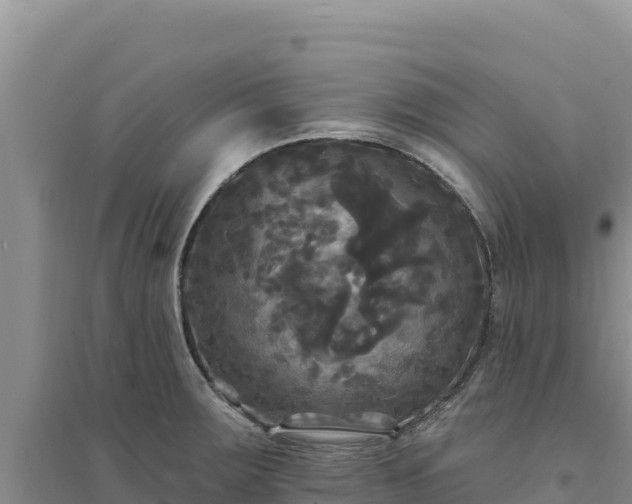 X0000094351283200711091444