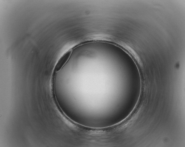 X0000094351285200711091444