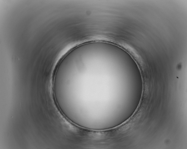 X0000094351286200711091444