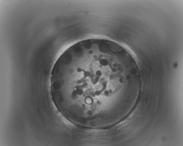 X0000094351287200711091444