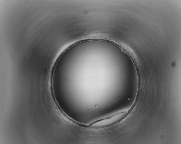 X0000094351288200711091444