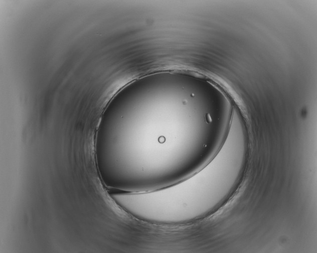 X0000094351289200711091443