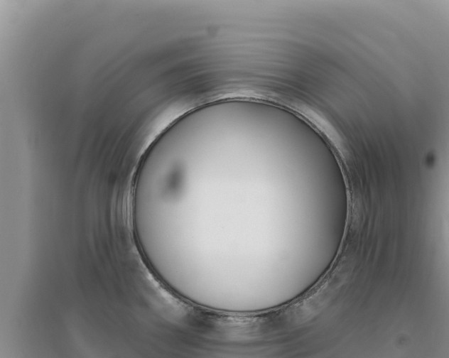 X0000094351290200711091443