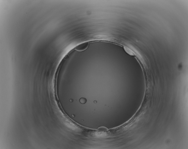 X0000094351291200711091443